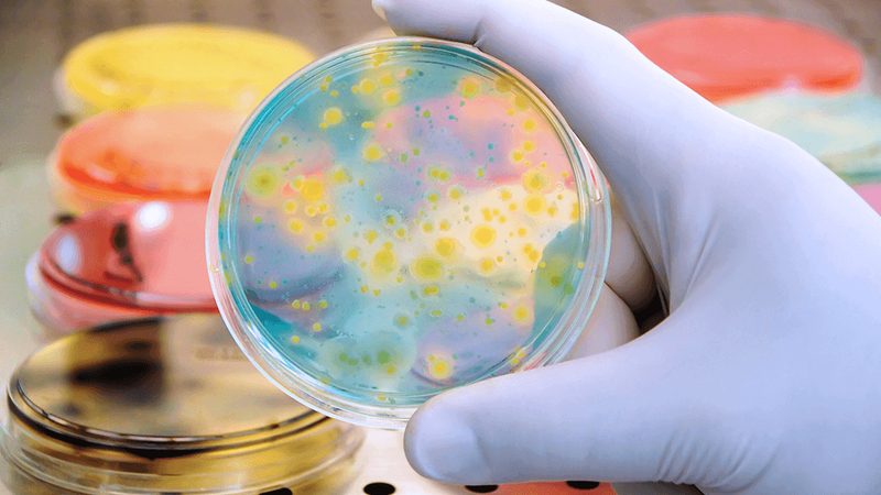 疫苗类生物制品生产批文：价格背后的考量因素