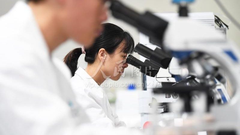 临床前安全性评价外包，如何选择靠谱的合作伙伴？**
