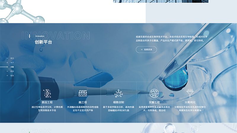 CDMO服务流程外包：揭秘制药企业的秘密武器