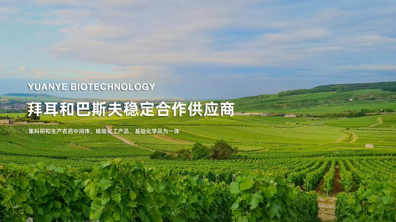 细胞培养箱污染：如何有效处理与预防**