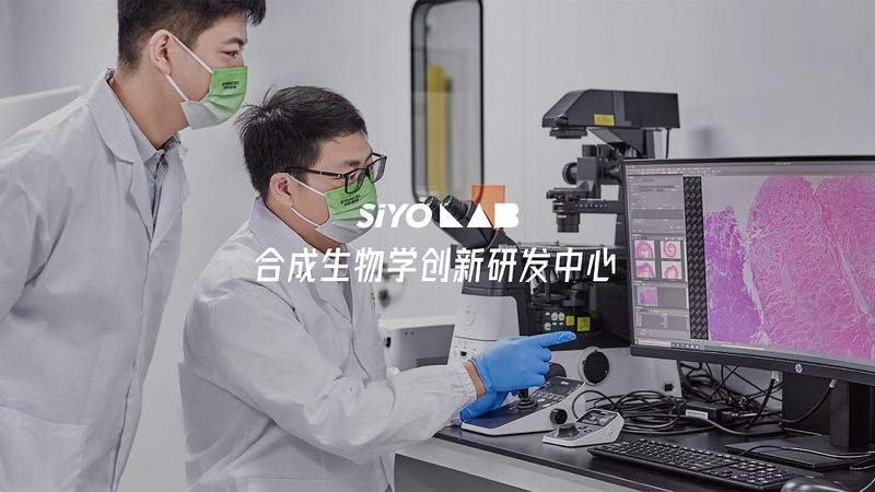 细胞工厂：如何选择合适的品牌？**