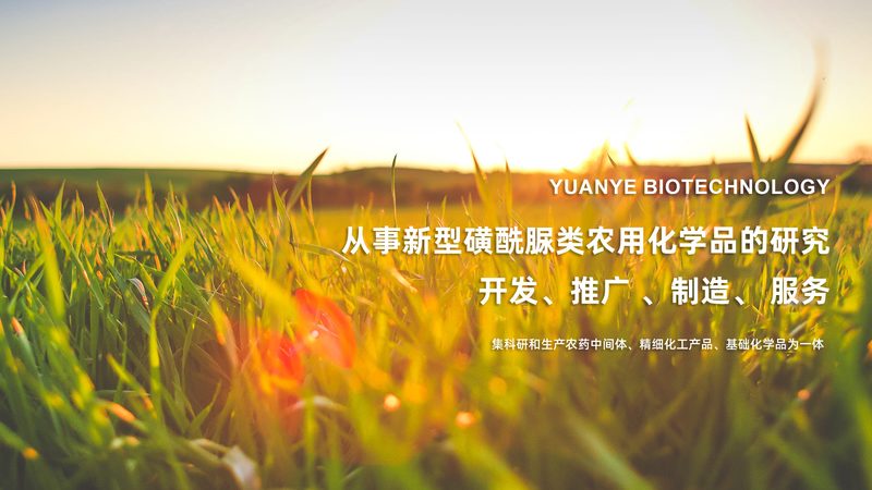 引物合成：精准科研的基石，如何选择合适的北京引物合成公司？**