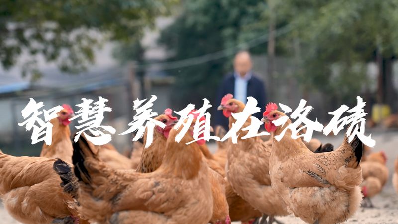 PCR检测结果准确度如何保证？标准解析与误区解读**